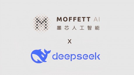 墨芯S40计算卡完成DeepSeek大模型部署， 支持单卡推理大模型